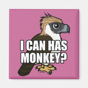 I Can Has Monkey? Magnet