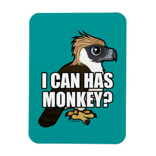 I Can Has Monkey? Magnet