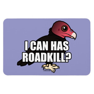 I Can Has Roadkill? Magnet