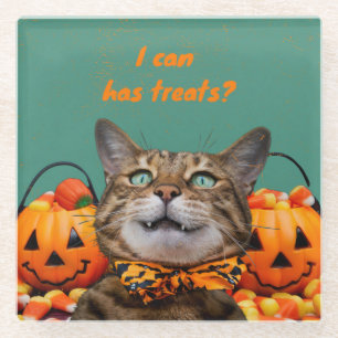 i Can Has Treats Cat Glass Coaster