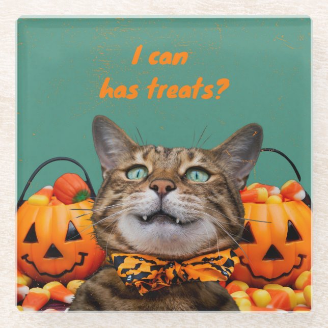 i Can Has Treats Cat Glass Coaster (Front)