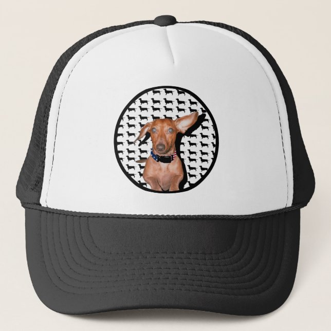 I Can Hear You Trucker Hat (Front)