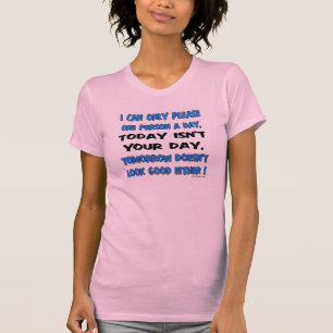 I Can Only Please One Person A Day Humour T-Shirt