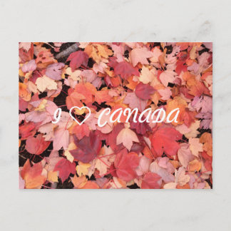 I ❤ CANADA POSTCARD