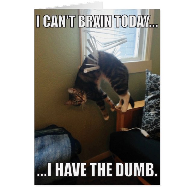 I Can't Brain Today. I Have The Dumb (cat) (Front)