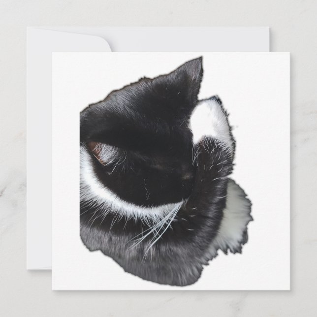 I Can't Even Right Meow (Front)