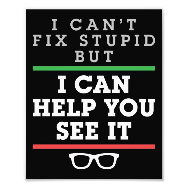 I Can't Fix Stupid But I Can Help You See It Photo Print (Front)