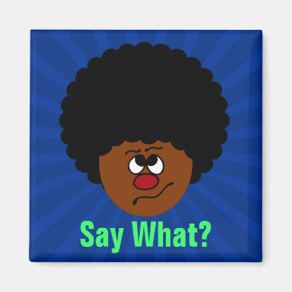 I can't have heard you right; please repeat that. magnet