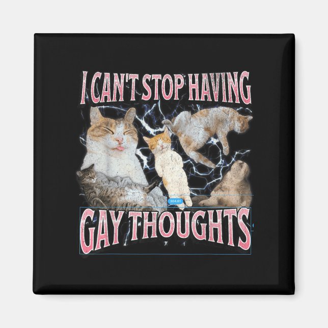 I Can't Stop Having Gay Thoughts Funny Cat Meme Bo Magnet (Front)