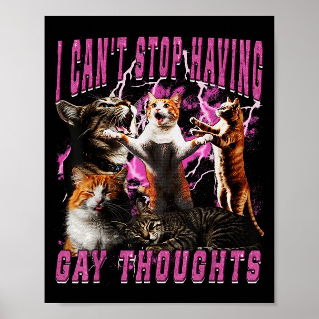 I Can't Stop Having Gay Thoughts Funny Cat Meme Bo Poster (Front)