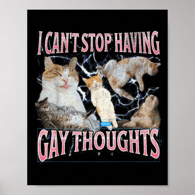 I Can't Stop Having Gay Thoughts Funny Cat Meme Bo Poster (Front)