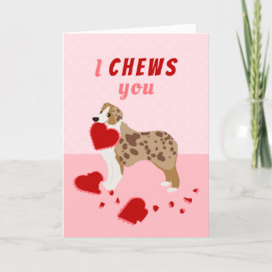 I Chews You Australian Shepherd Valentine's Day Holiday Card