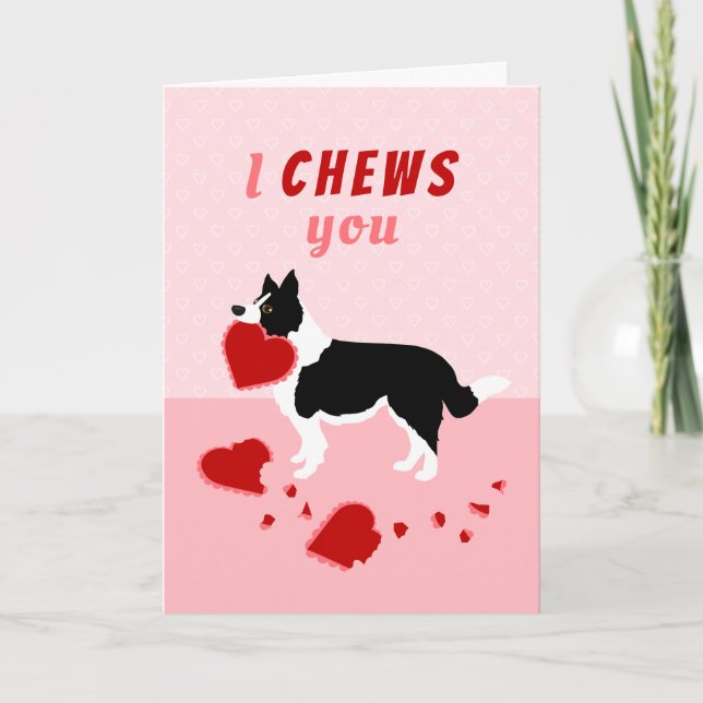I Chews You Border Collie Valentine's Day Holiday Card (Front)