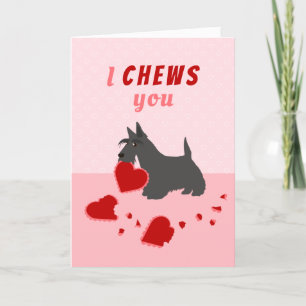 I Chews You Scottish Terrier Valentine's Day Holiday Card
