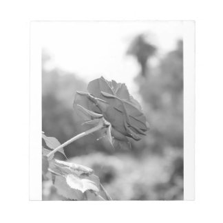 I chose Me Rose Notepad