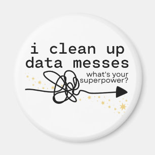 I Clean Up Data Messes Magnet