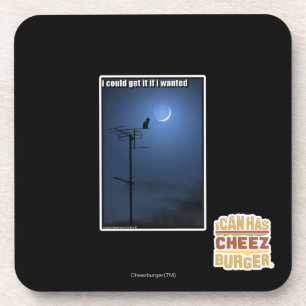 I could get it if I wanted Coaster