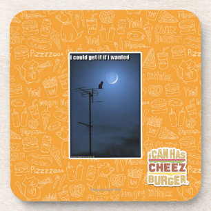 I could get it if I wanted Coaster