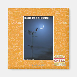 I could get it if I wanted Magnet