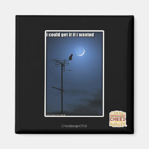 I could get it if I wanted Magnet