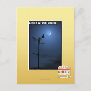 I could get it if I wanted Postcard