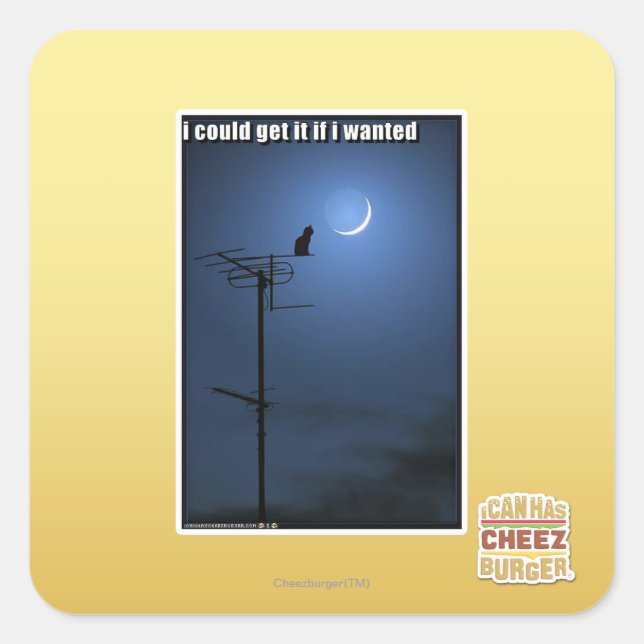 I could get it if I wanted Square Sticker (Front)