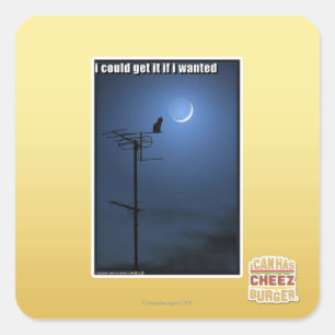 I could get it if I wanted Square Sticker