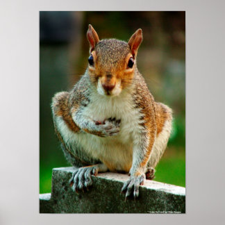 "I Cross My Heart" Poster