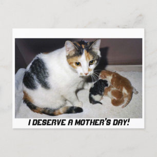 I DESERVE A MOTHER'S DAY! POSTCARD