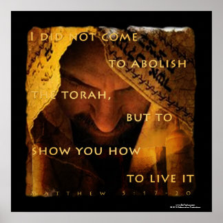 I did not come to abolish poster