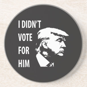 I didn’t vote for Trump Coaster