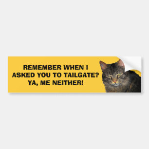 I Didn't Ask You To Tailgate - Grumpy Angel Cat Bumper Sticker