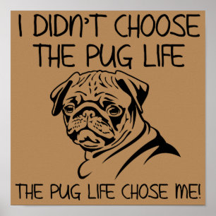 I Didn't Choose The Pug Life Funny Poster Sign