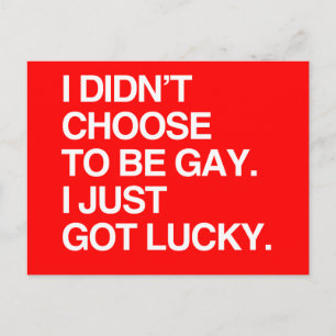I DIDN'T CHOOSE TO BE GAY I JUST GOT LUCKY POSTCARD