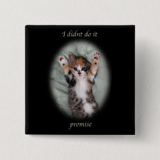 I didnt do it 15 cm square badge