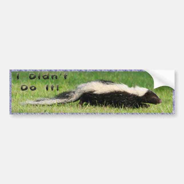 I Didn't Do It! Bumper Sticker (Front)