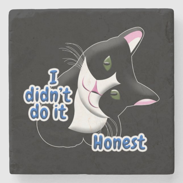 I didn't do it Cat Stone Coaster (Front)