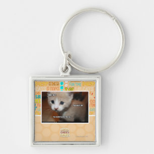 I didn't do it. key ring