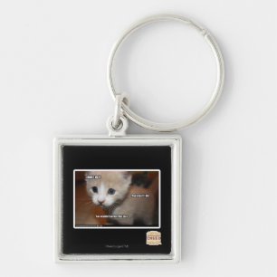 I didn't do it. key ring