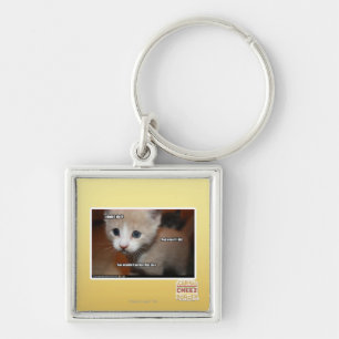 I didn't do it. key ring