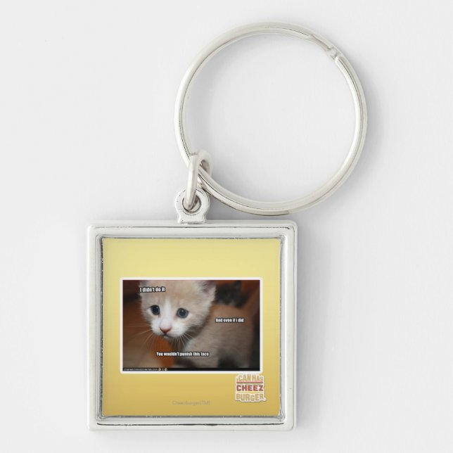 I didn't do it. key ring (Front)