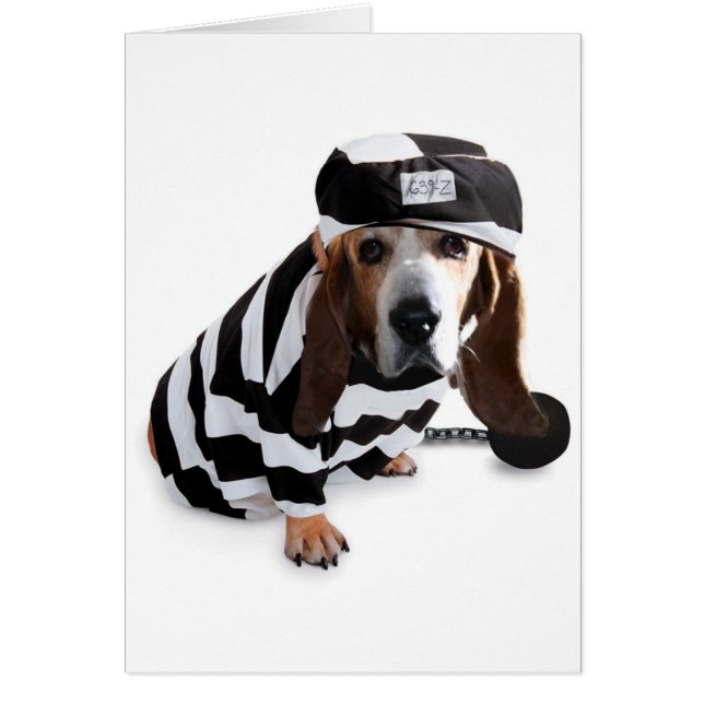 I didnt mean it... (Front)