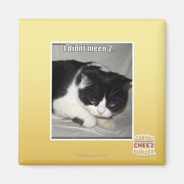 I didn't meen 2 magnet (Front)