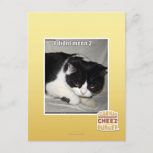 I didn't meen 2 postcard (Front)