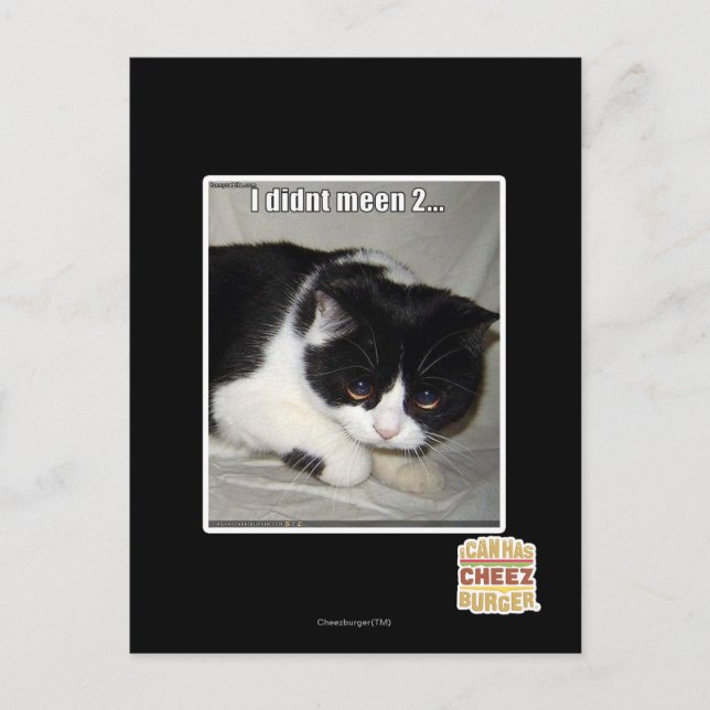 I didn't meen 2 postcard (Front)