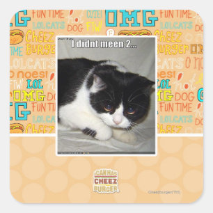 I didn't meen 2 square sticker