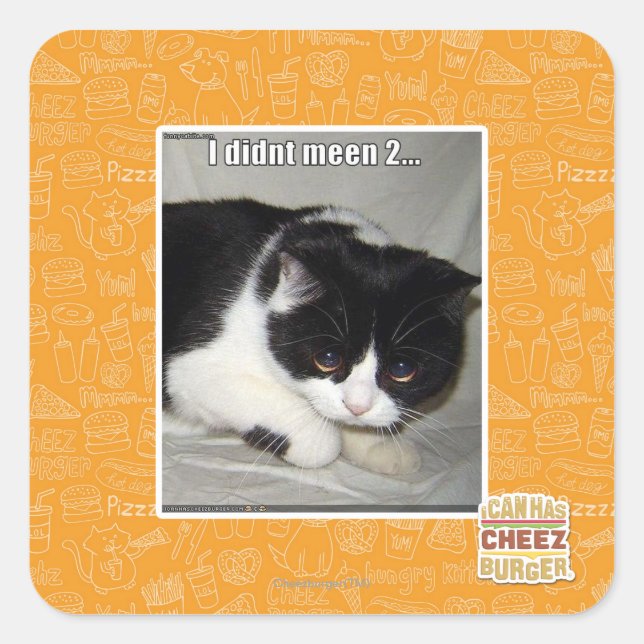 I didn't meen 2 square sticker (Front)