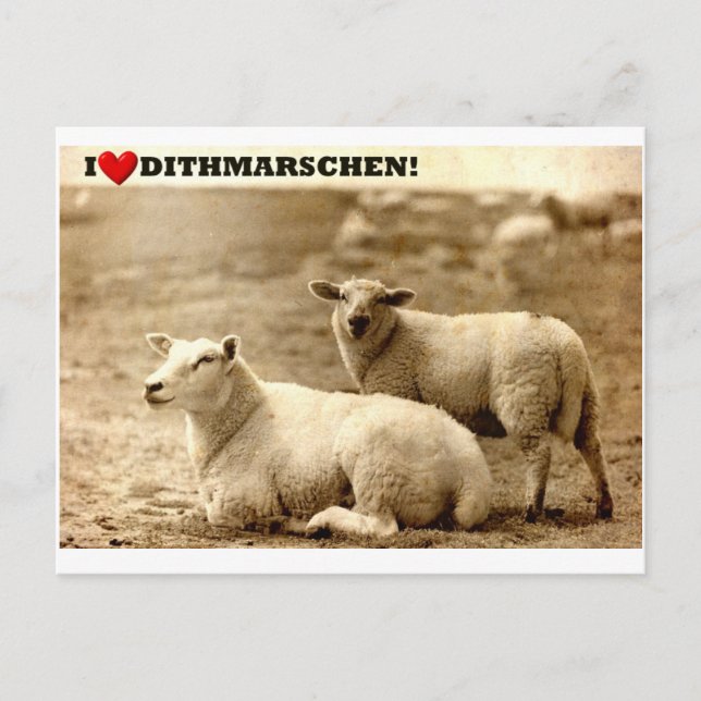 I ♥ Dithmarschen! Postcard (Front)