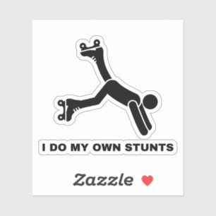 I Do My Own Stunts