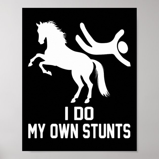 I Do My Own Stunts  Poster (Front)
